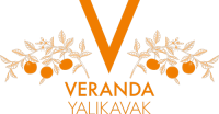 vy-logo